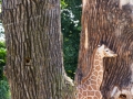 Giraffe-Baby-versteckt